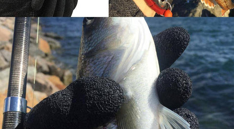 Image of Professional Catch Fish Glove witch Magnet Release | Left Hand Orientation