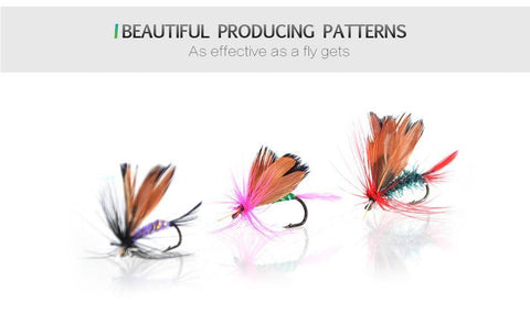 Image of Piscifun 12pcs Dry Flies Fly Fishing Flies Kit
