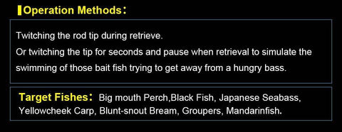 Image of SeaKnight SK008 Minnow Fishing Lure 1PC 20g 125mm 0.3-0.9M Floating Hard Bait Long Casting Lure Carp Fishing Tackle Fishing Bait