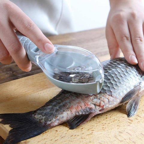 Image of Fish Skin Brush Scraping