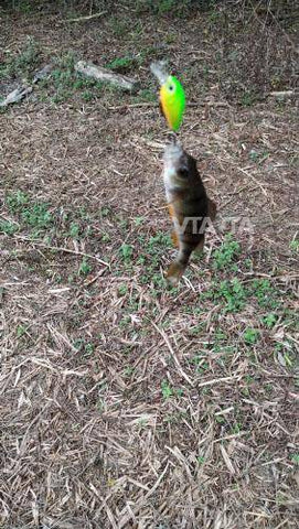 Image of VTAVTA Mini Wobblers Pike Fishing Lure 5pcs/lot