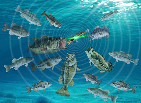 Image of 🐟TRUSCEND 4.9" Hi- Tech Fishing Lures 4 | Rechargeable | LED Fishing | Electric Vibration 🐟