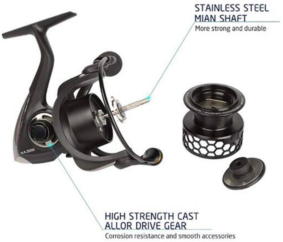 TSURINOYA NA Spinning Fishing Reel | 5.2:1 Gear Ratio  9 BB  | Fresh/Saltwater