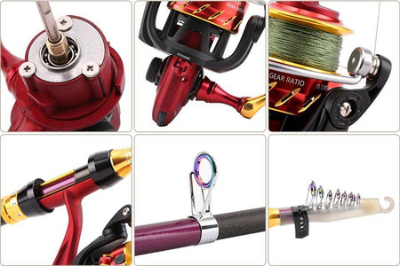 SeaKnight REAVER Carbon 1.8M 2.1M 2.4M Rods Reels Combo FENICE 2000 3000 Spinning Fishing Reel 5.2:1 Saltwater Fishing Tackle