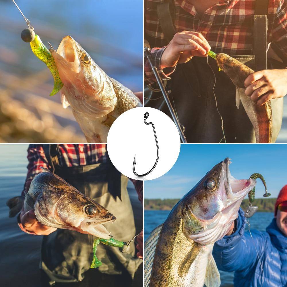 DONQL Carbon Steel Fishing Hooks |10 Pieces Set