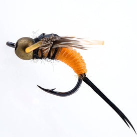 Wet Flies Fly Fishing Lure | 40PCS with Fly Box |