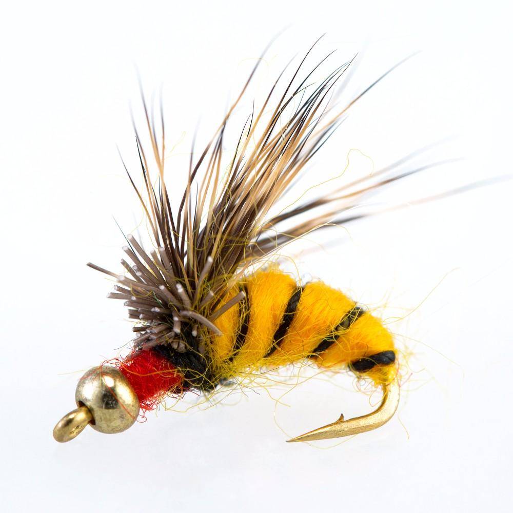 Wet Flies Fly Fishing Lure | 40PCS with Fly Box |