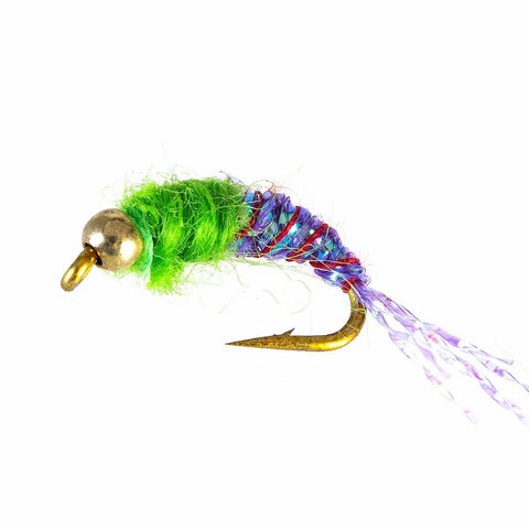 Image of Wet Flies Fly Fishing Lure | 40PCS with Fly Box |