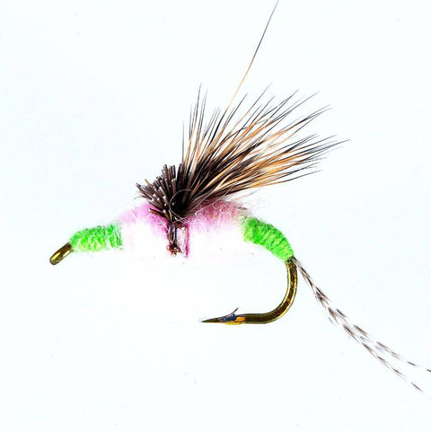 Image of Wet Flies Fly Fishing Lure | 40PCS with Fly Box |