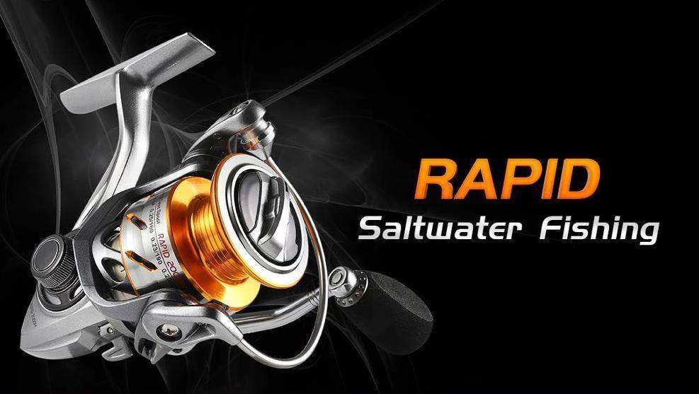 Seaknight RAPID Spinning Reel | 4.7 to 6.1 Gear Ratio 10+1 BB | Magnetic Brake, 17-33 lb Max Drag | Saltwater or Freshwater Ready
