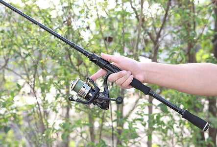 SeaKnight Sange 2 Spinning Fishing Rod | Length: 6'10'' & 7'10'' | Power M & MH |Carbon Fiber and Ceramic Guide Rings