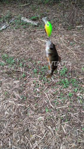 VTAVTA Mini Wobblers Pike Fishing Lure 5pcs/lot