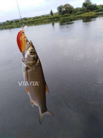 Image of VTAVTA Mini Wobblers Pike Fishing Lure 5pcs/lot