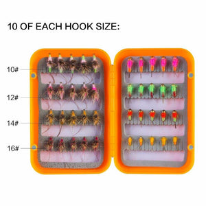 Wet Flies Fly Fishing Lure | 40PCS with Fly Box |